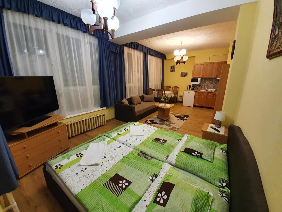 Panorama Vendeghaz Pensiune 2*