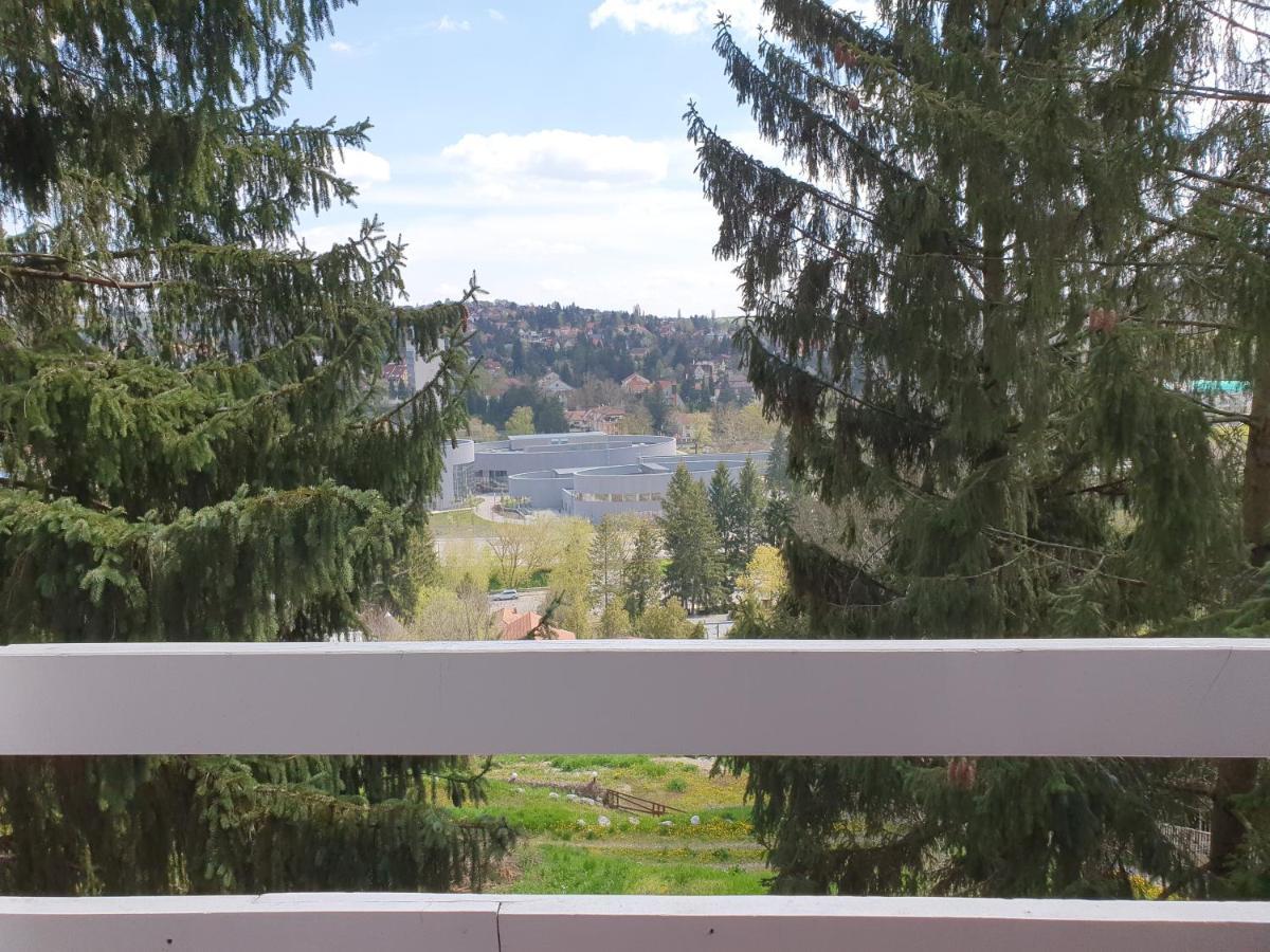 Panorama Vendeghaz 2*