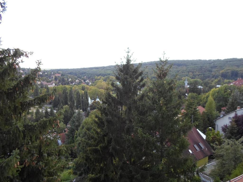 Pensiune Panorama Vendeghaz